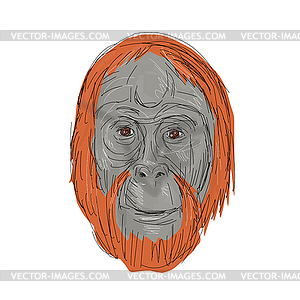 Unflanged Male Orangutan Drawing - vector clipart