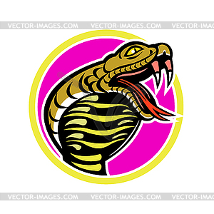 rattlesnake mascot