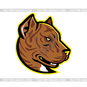 Spanish Bulldog or Spanish Alano Mascot - royalty-free vector image