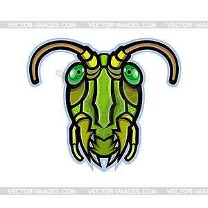 Grasshopper Head Mascot - vector image