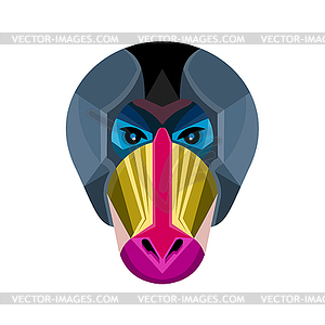 Male Mandrill Head Flat Icon - vector image