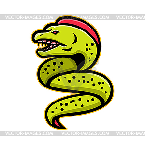 Moray Eel Sports Mascot - royalty-free vector clipart