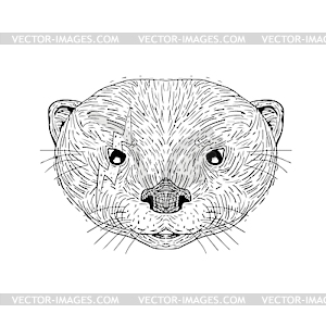 Asian Small Clawed Otter Black and White Mascot - vector image