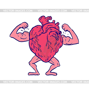 Healthy Heart Flexing Muscle Drawing - vector image