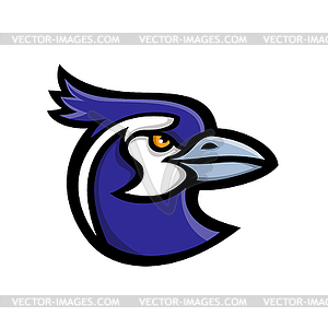 Head of Blue Jay Head Mascot Black and White - vector clip art