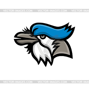 Blue Jay Head Mascot - vector image