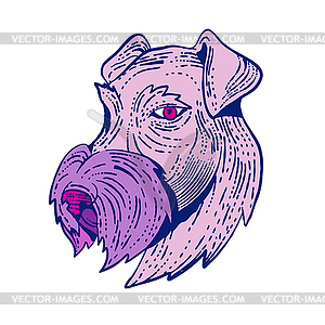 Bingley Terrier Head Etching Color - vector image