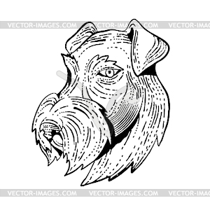 Airedale Terrier Head Etching Black and White - vector clipart