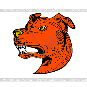 Angry American Staffordshire Bull Terrier Etching - vector clipart