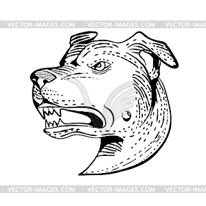 American Staffordshire Bull Terrier Etching Black - vector image