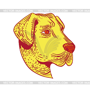 Anatolian Shepherd Dog Head Etching Color - vector image