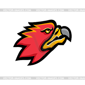 Firebird Head Mascot - vector EPS clipart