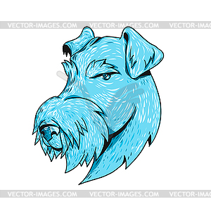 Bingley Terrier Head Drawing - vector clipart