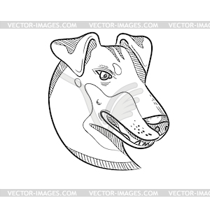 Manchester Terrier Head Drawing - vector clipart