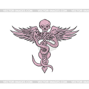 Skull and Spinal Column With Snakes Drawing - vector image