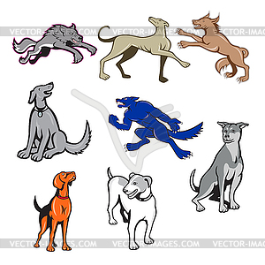 Canine Cartoon Set - клипарт в векторном виде