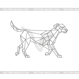 Лабрадор Ходьба Каркас Низкий Полигон - векторизованное изображение