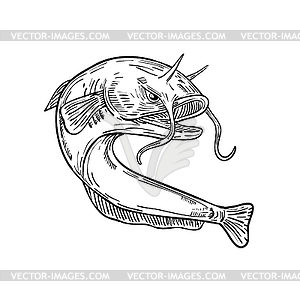 Devil Catfish Jumping Drawing Black and White - vector image