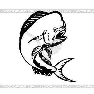 Angry Mahi-mahi Dorado Dolphinfish Jumping Etching - vector clipart