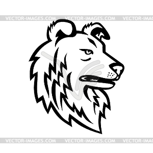 Shetland Sheepdog or Shetland Collie Mascot Black - vector clip art