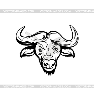 Head of an African Buffalo or Cape Buffalo Front - vector clipart