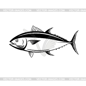 Atlantic Bluefin Tuna Northern Bluefin Tuna Giant - vector EPS clipart