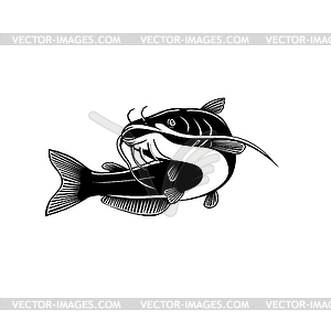 North American Blue Catfish Ictalurus Furcatus - vector image