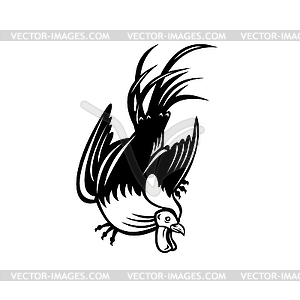 Junglefowl Cockerel or Rooster in Fighting Stance - stock vector clipart