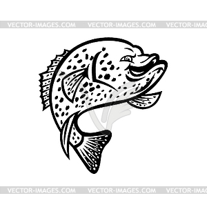 Crappie Fish Jumping Up Mascot Black and White - vector clip art