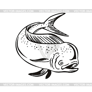 Dorado Mahi-mahi or Common Dolphinfish Jumping Up - royalty-free vector image