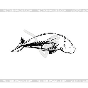 Dugong Medium-Sized Marine Mammal Swimming Side - vector image