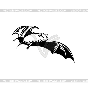 Megabat Fruit Bat Old World Fruit Bat or Flying - vector clipart