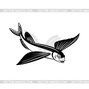 Sailfin Flying Fish or Flying Cod Side View Retro - vector image