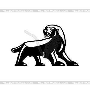 Angry Honey Badger Full Body Looking to Side Black - vector image