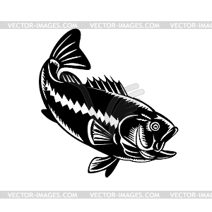 Largemouth Bass Diving Down Black and White Retro - vector image