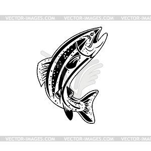 Columbia River Redband Trout, Inland Redband Trout - vector image