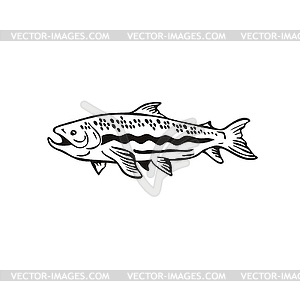 Spotted Trout Fish Right Side View Retro Black and - vector image