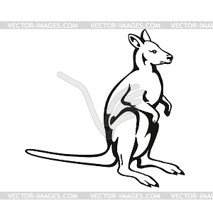 Валлаби или кенгуру, вид сбоку ретро ксилография черный - векторная иллюстрация