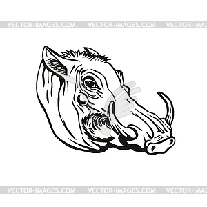 Голова обыкновенного бородавочника или Phacochoerus africus - векторный эскиз