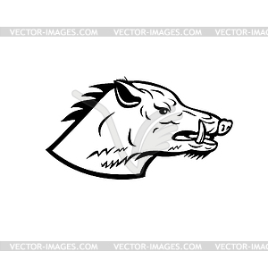 Wild Boar Wild Swine Common Wild Pig Head Side - stock vector clipart