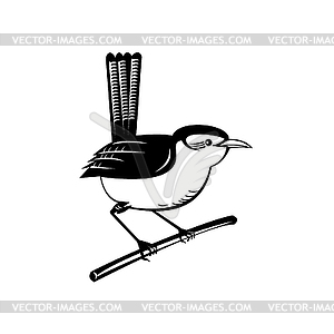 Wren Brown Passerine Bird Perching on Branch Retro - vector image
