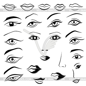 Human eyes, lips, eyebrows and noses - vector EPS clipart