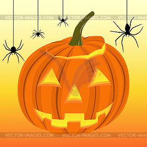 Halloween pumpkin and black spiders on web - vector image