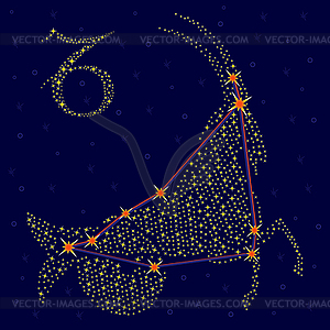 Zodiac sign Capricorn over starry sky - vector clipart