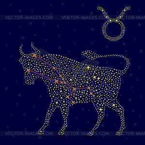 Zodiac sign Taurus over starry sky - vector image