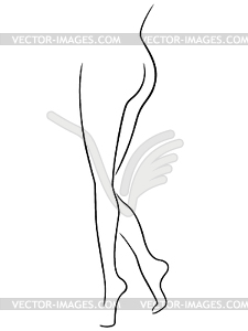 Lower part of graceful female body - vector image