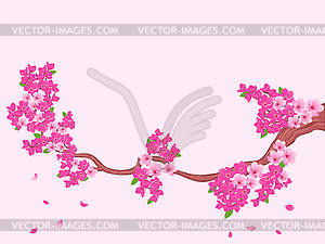 Blooming Sakura branch over light pink - vector image