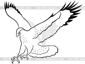 Hawk in attack - vector clipart