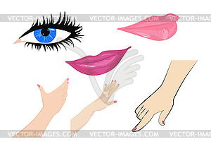 Body parts - vector image