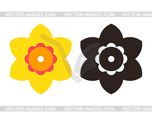 Narcissus - flower icon set - vector image